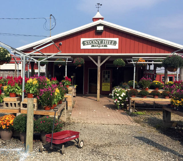 NJ Farm Market - Chester, NJ - Produce, plants, baked goods, and more