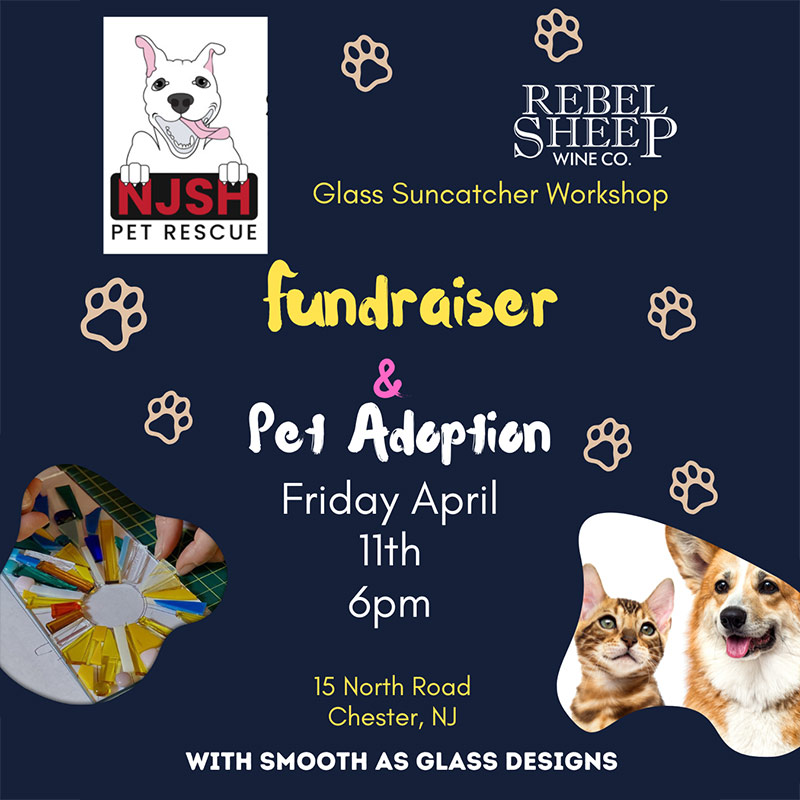 Glass Suncatcher Workshop Fundraiser & NJSH Rescue Pet Adoption - April 11, 2025 (Chester, NJ)