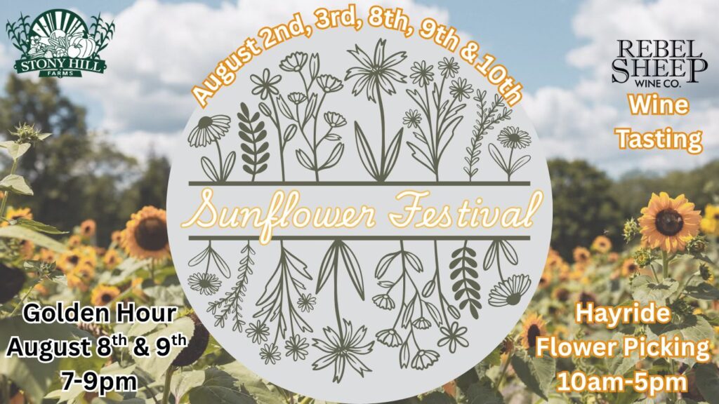 Sunflower Festival 2025 at Stony Hill Farms